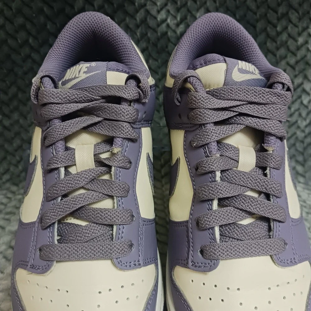 Nike Dunk Low Next Nature Daybreak Women's Sneakers Shoes FZ4349-100 Size 5.5
